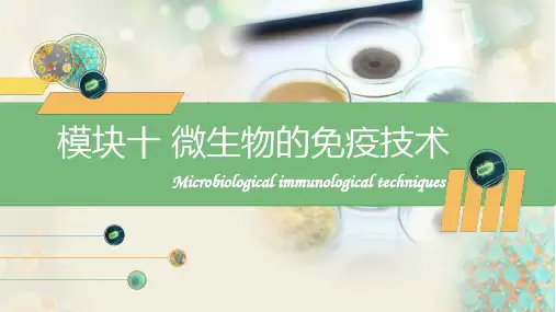 微生物的免疫技术—微生物的血清学技术