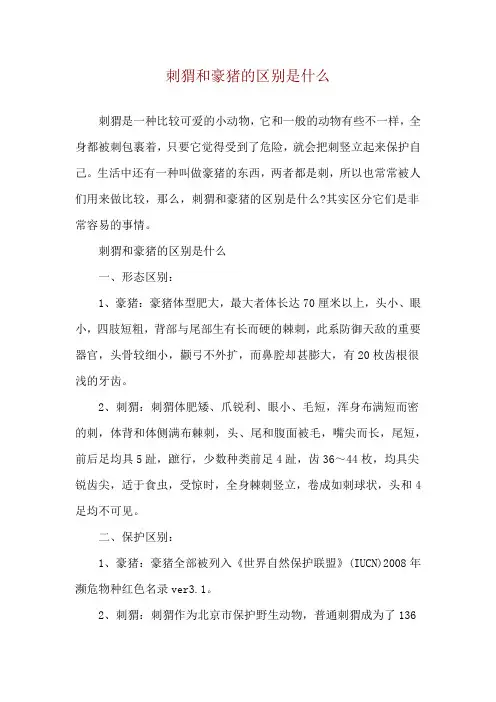 刺猬和豪猪的区别是什么