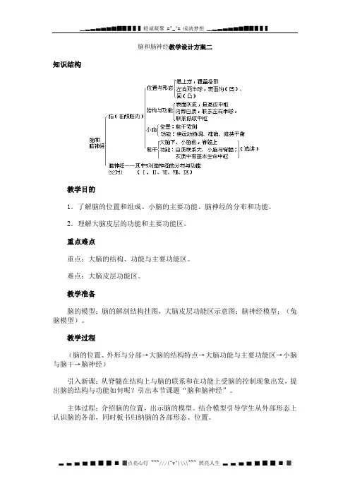 脑和脑神经教学设计方案二