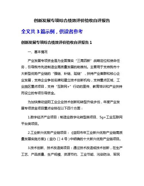 创新发展专项综合绩效评价验收自评报告