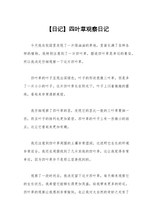 【日记】四叶草观察日记