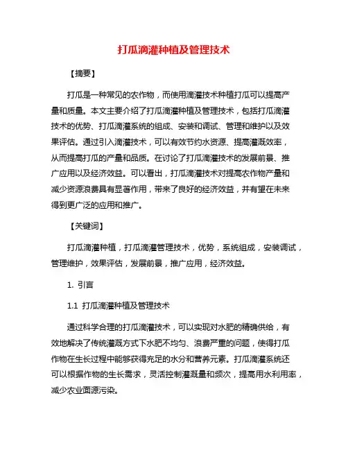 打瓜滴灌种植及管理技术