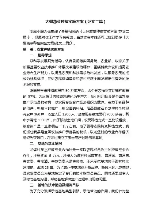 大棚蔬菜种植实施方案（范文二篇）