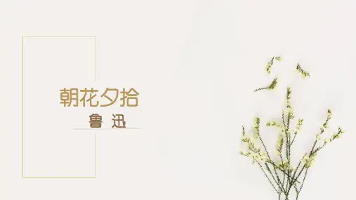 第三单元名著导读《朝花夕拾》课件(共42张PPT)2022—2023学年部编版语文七年级上册