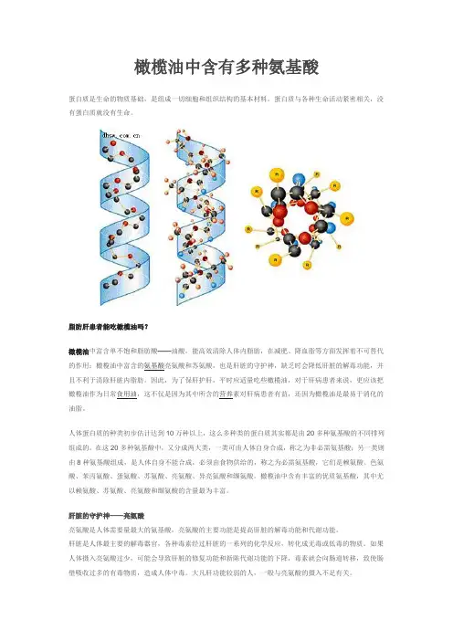 橄榄油中含有多种氨基酸