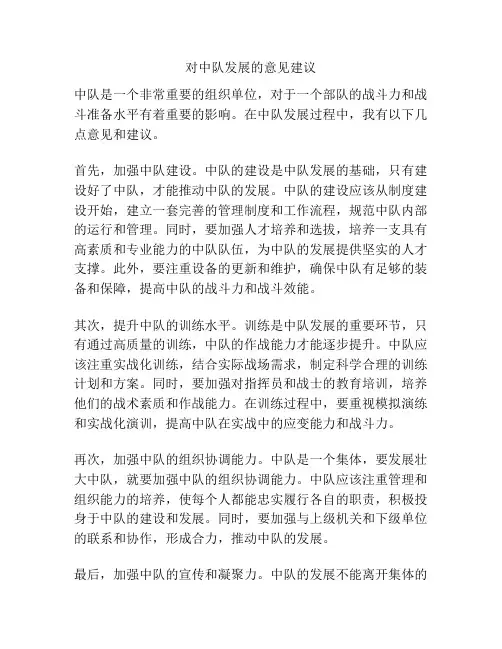 对中队发展的意见建议