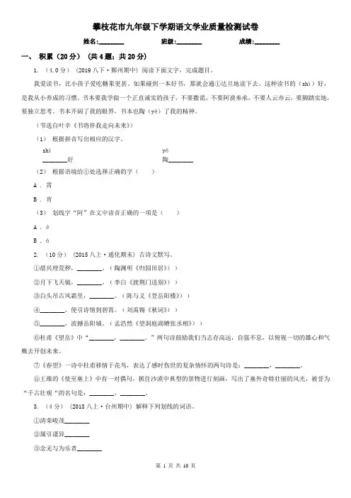 攀枝花市九年级下学期语文学业质量检测试卷
