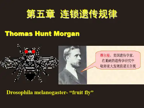 动物医学-动物遗传学第五章《连锁遗传规律》课件
