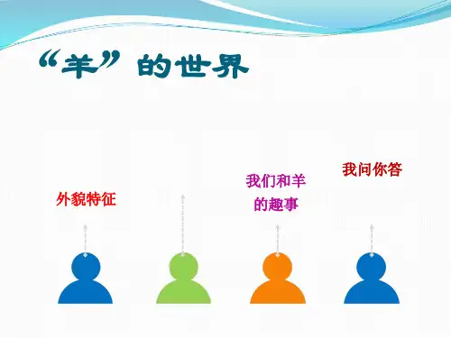 羊的介绍精品PPT课件