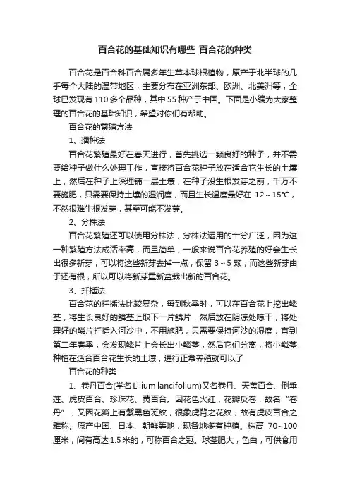 百合花的基础知识有哪些_百合花的种类