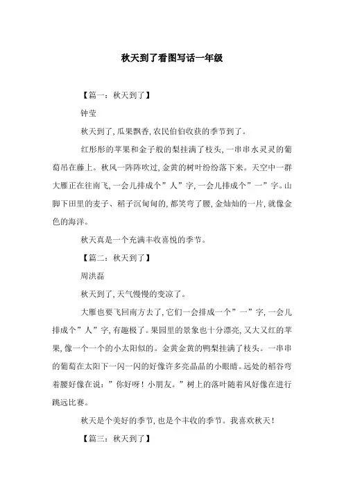 秋天到了看图写话一年级