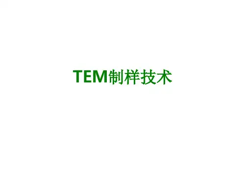 TEM制样技术经典课件