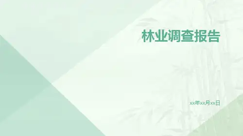 林业调查报告