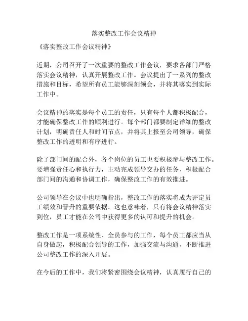 落实整改工作会议精神