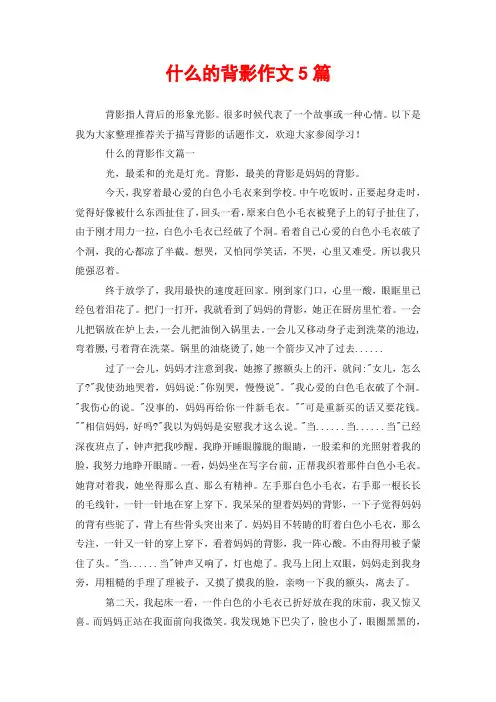 什么的背影作文5篇