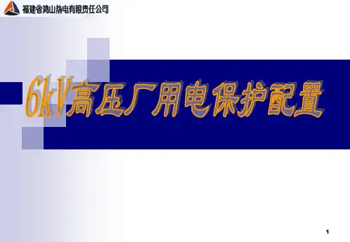 6kV高压厂用电保护配置(zqq)