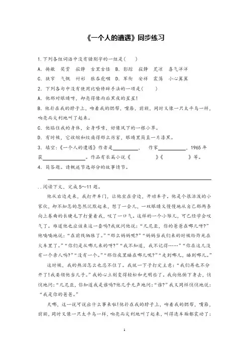 高中语文《一个人的遭遇》同步练习