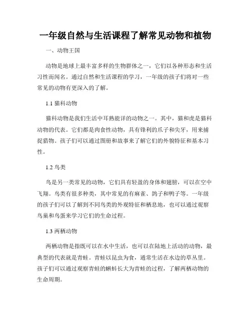 一年级自然与生活课程了解常见动物和植物