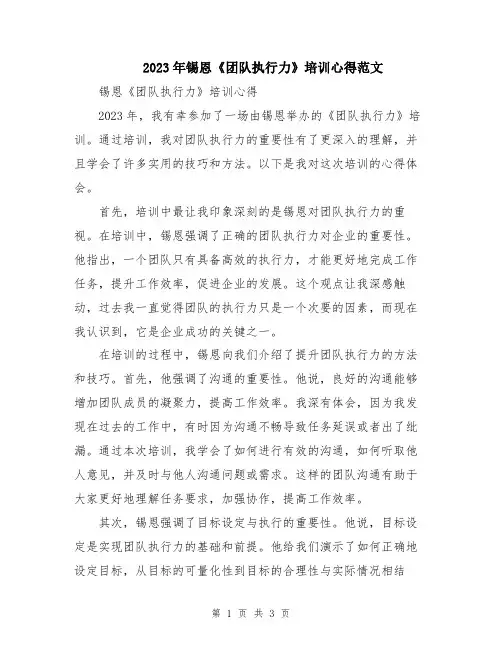 2023年锡恩《团队执行力》培训心得范文