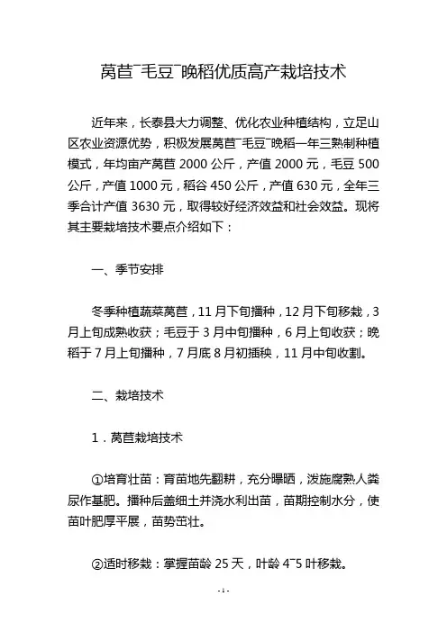 莴苣―毛豆―晚稻优质高产栽培技术