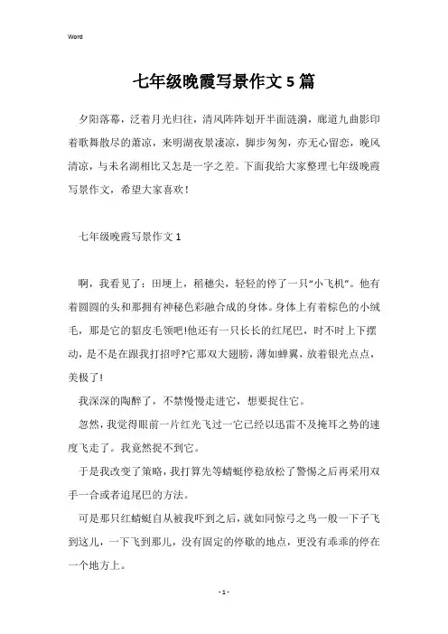 七年级晚霞写景作文5篇