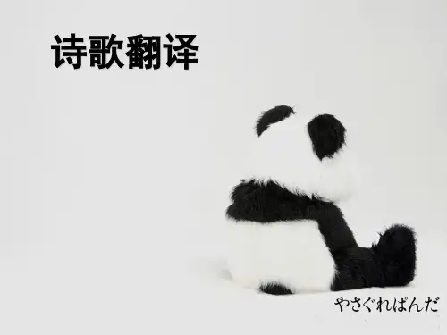 诗歌翻译