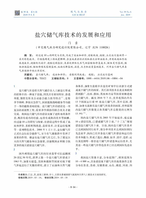 盐穴储气库技术的发展和应用