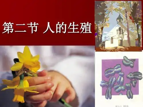 初中生物七年级下册《人的生殖》课件