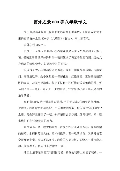 窗外之景800字八年级作文