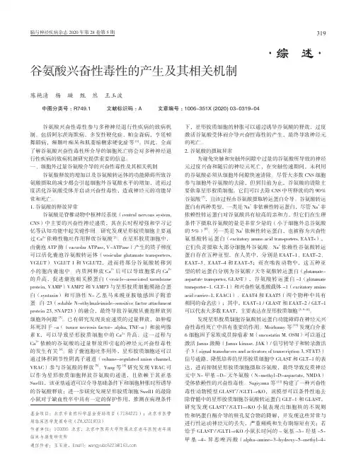 谷氨酸兴奋性毒性的产生及其相关机制