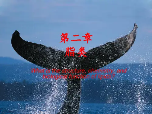生化chapter02lipids-74页文档资料