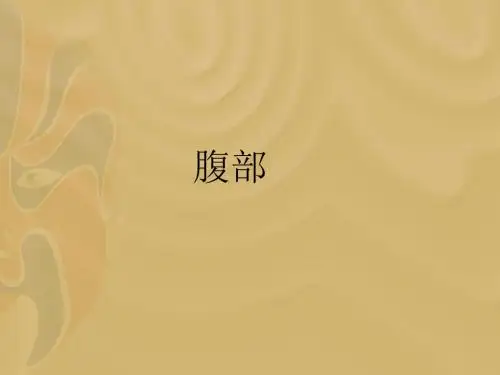 腹部分析课件