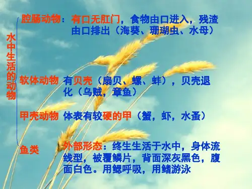 八年级生物上册总复习ppt 人教版PPT精选课件
