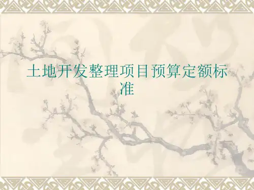 土地开发整理项目预算定额标准