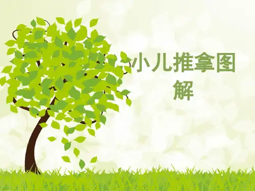 小儿推拿图解 PPT课件