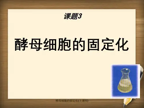 酵母细胞的固定化(上课用)