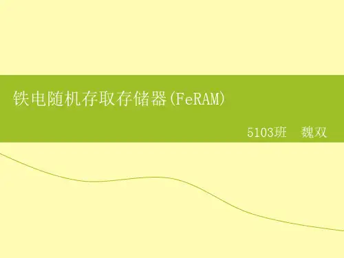 FeRAM铁电存储器魏双
