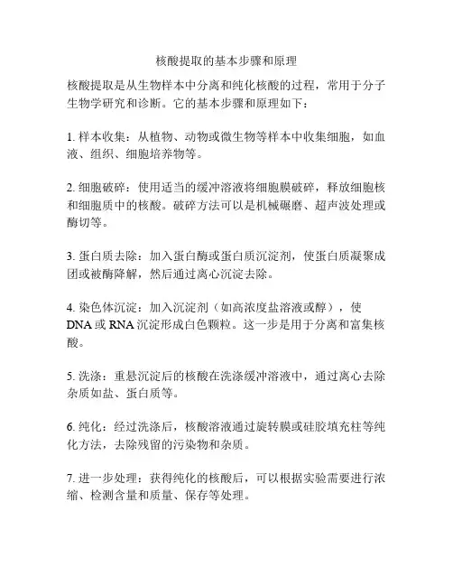 核酸提取的基本步骤和原理