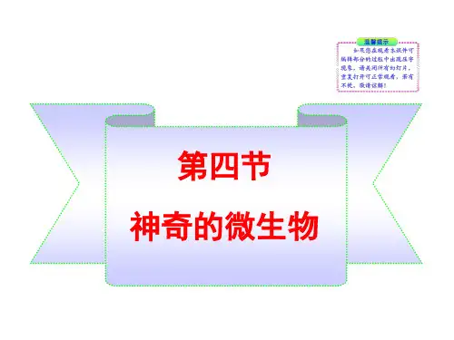 22章第四节神奇的微生物PPT课件