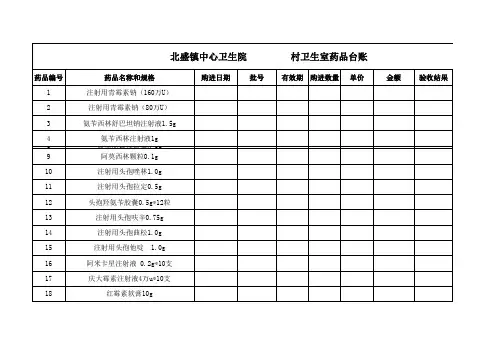 村卫生室药品台账(3)