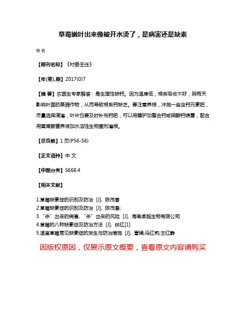 草莓嫩叶出来像被开水烫了，是病害还是缺素