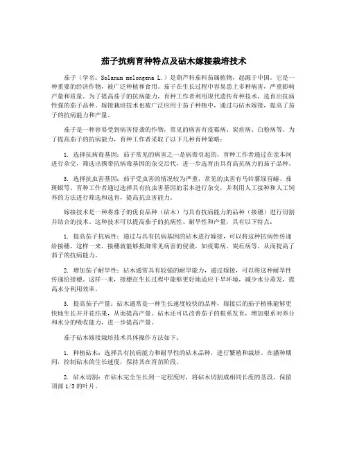 茄子抗病育种特点及砧木嫁接栽培技术