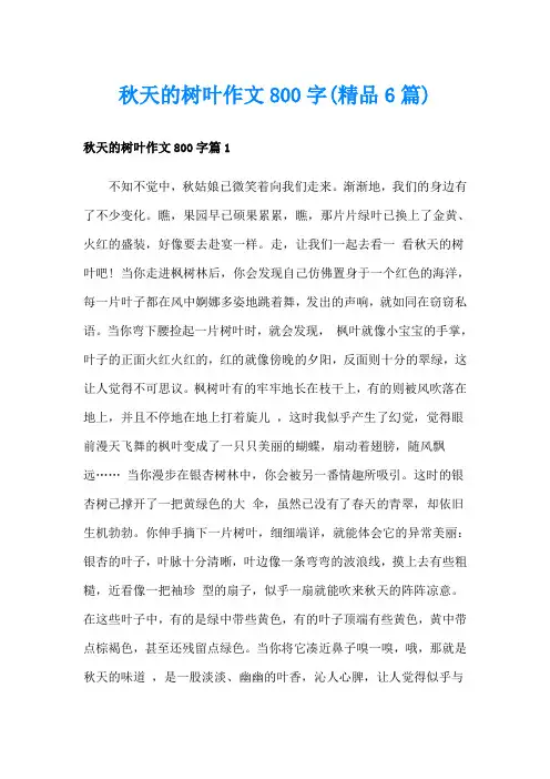 秋天的树叶作文800字(精品6篇)