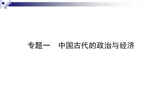 中考历史总复习专题一中国古代的政治与经济课件
