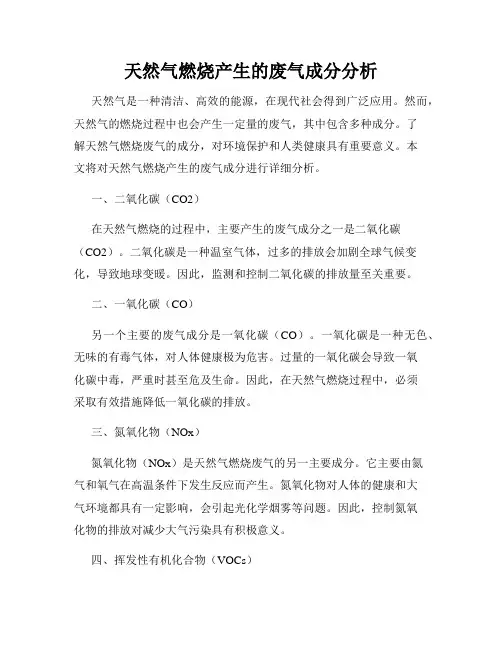 天然气燃烧产生的废气成分分析