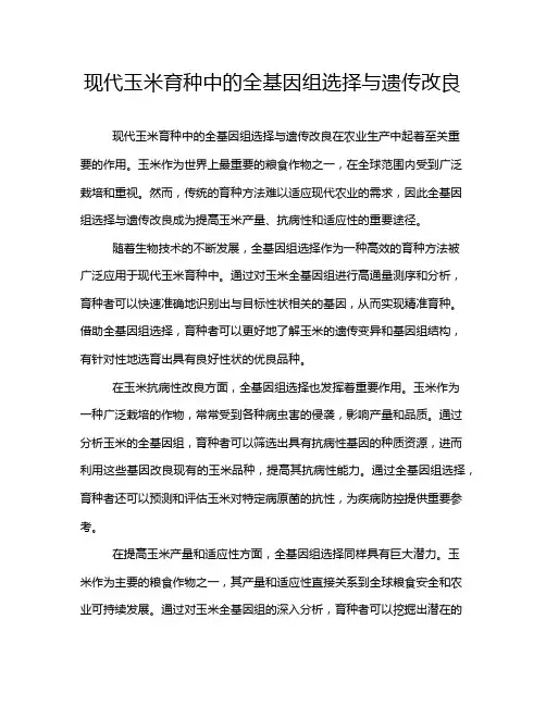 现代玉米育种中的全基因组选择与遗传改良