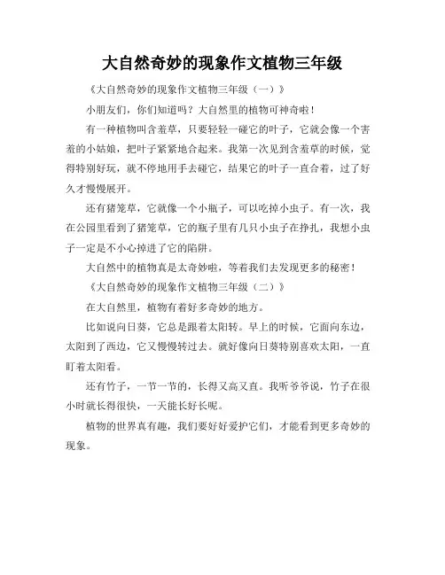 大自然奇妙的现象作文植物三年级