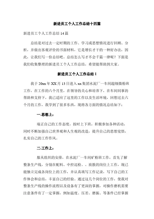 新进员工个人工作总结十四篇