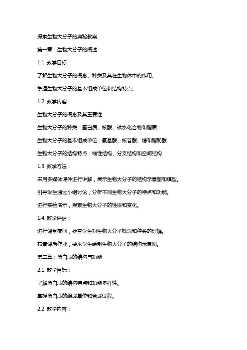 探索生物大分子的奥秘教案