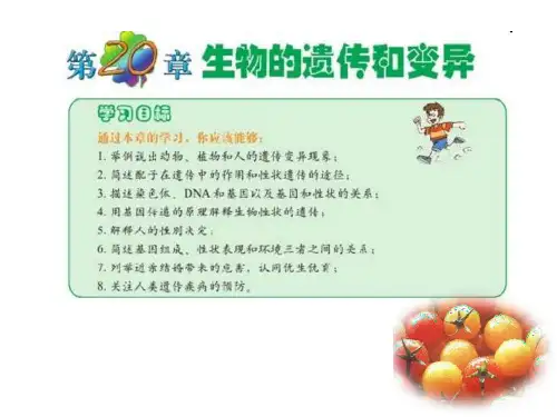 第1节遗传和变异现象教学ppt课件